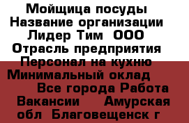 Мойщица посуды › Название организации ­ Лидер Тим, ООО › Отрасль предприятия ­ Персонал на кухню › Минимальный оклад ­ 22 800 - Все города Работа » Вакансии   . Амурская обл.,Благовещенск г.